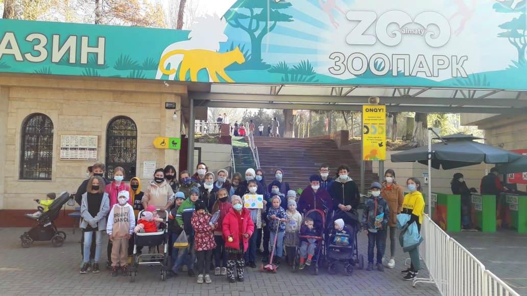 Zoo 8